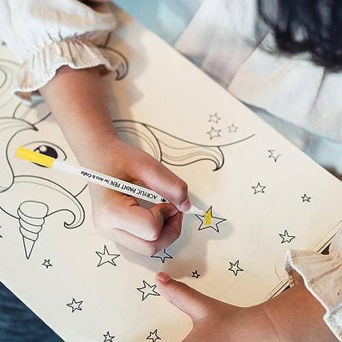 Stylos peinture acrylique TBC 24 couleurs pour artistes amoureux de la créativité, étanche et résistant à l'eau pour pie