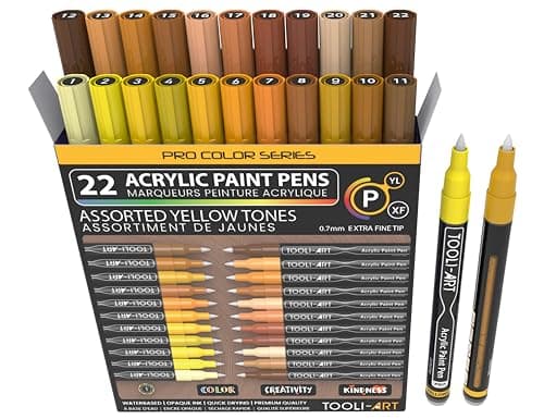 Marqueur acrylique Pro Color ensemble 22 pièces pointe 0,7 mm usage artistique et décoratif
